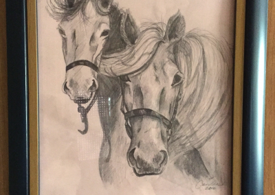 Pencil drawing - Montana Horses