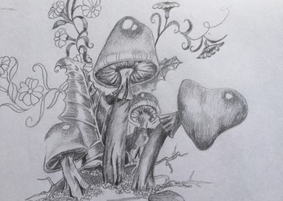 group of mushrooms drawing
